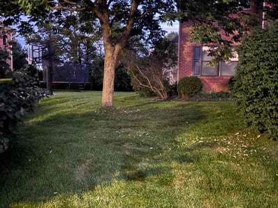 Lawn Care service in Princeton, 08542