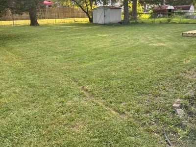 Lawn Care service in Brigham City, 84302