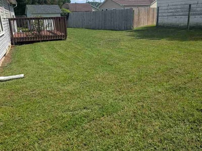 Lawn Care service in Front Royal, 22630