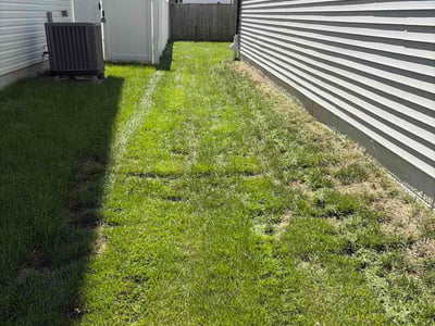 Lawn Care service in Pasadena, 21122