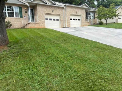 Lawn Care service in Front Royal, 22630