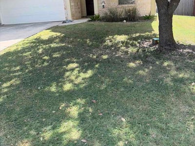 Lawn Care service in Live Oak, 78233