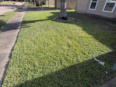 Lawn Care service in Deer Park, 77536