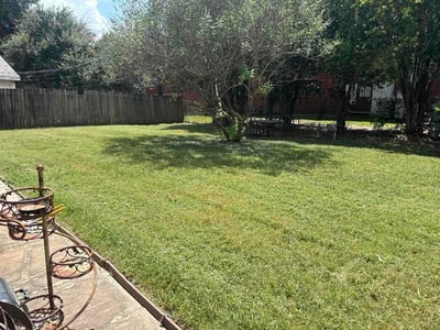 Lawn Care service in Deer Park, 77536