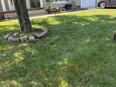 Lawn Care service in Culpeper, 22701