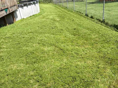 Lawn Care service in Bethel Park, 15102