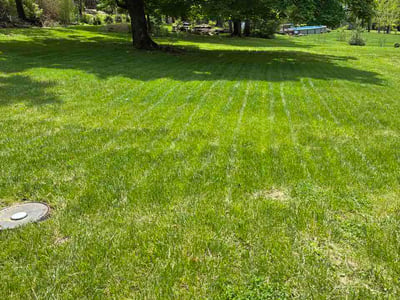 Lawn Care service in Bethel Park, 15102