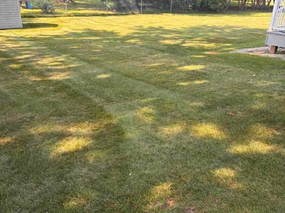 Lawn Care service in Eau Claire, 54701