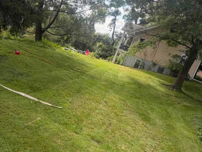 Lawn Care service in Carnegie, 15106