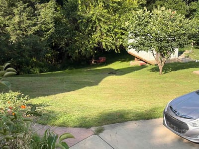 Lawn Care service in Carnegie, 15106