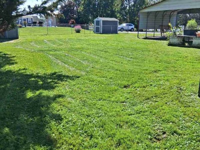 Lawn Care service in Cranberry Twp, 16066
