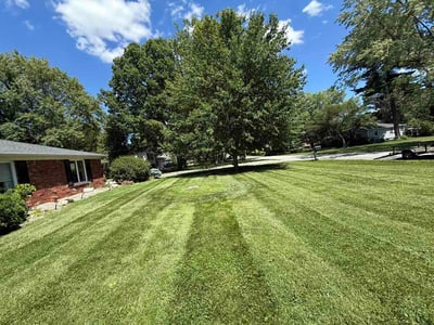 Lawn Care service in Cranberry Twp, 16066