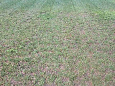 Lawn Care service in Lebanon, 46052