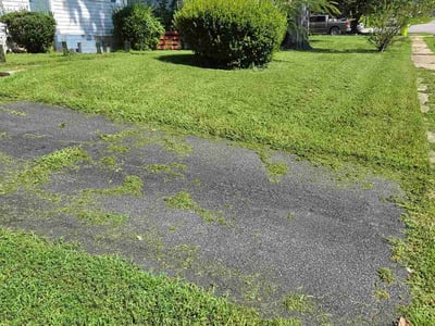 Lawn Care service in Chantilly, 20151