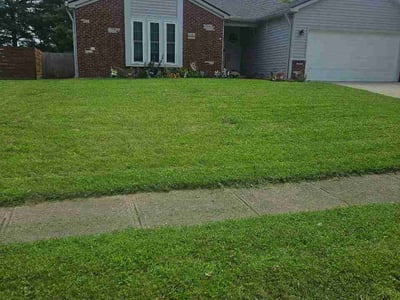 Lawn Care service in Lebanon, 46052