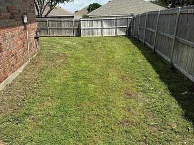 Lawn Care service in Haslet, 76052