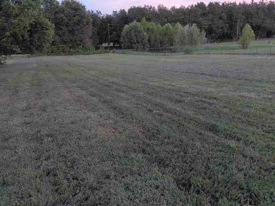 Lawn Care service in Covington, 38019