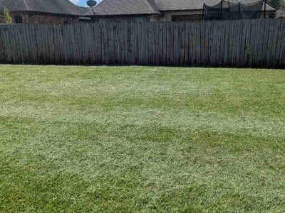 Lawn Care service in West Monroe, 71291