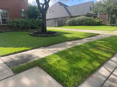 Lawn Care service in Cypress, 77429