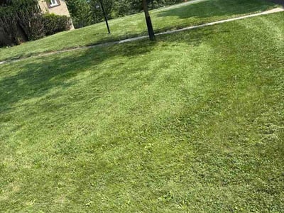 Lawn Care service in Belle Vernon, 15012