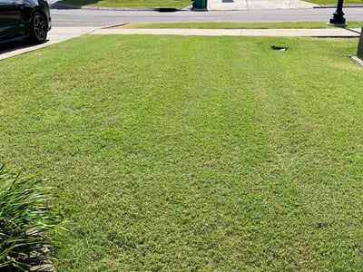 Lawn Care service in Spring Hill, 37174
