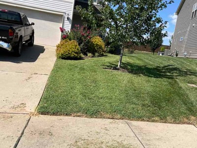 Lawn Care service in Spring Hill, 37174