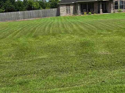 Lawn Care service in Angleton, 77515