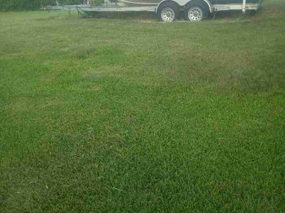 Lawn Care service in Freeport, 77541