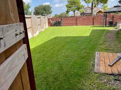 Lawn Care service in Freeport, 77541