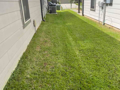 Lawn Care service in Willis, 77378