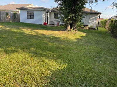 Lawn Care service in Willis, 77378