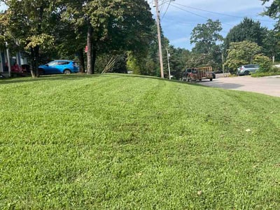Lawn Care service in Kingston, 37763