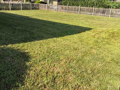 Lawn Care service in Raymore, 64083