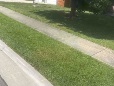 Lawn Care service in Raymore, 64083