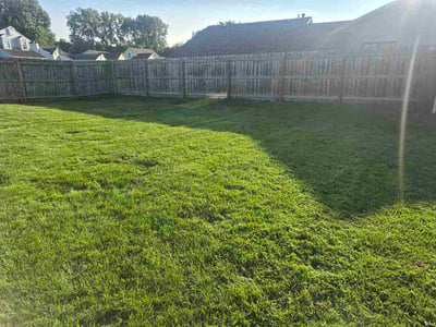 Lawn Care service in Menasha, 54952