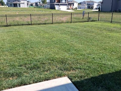 Lawn Care service in Paola, 66071
