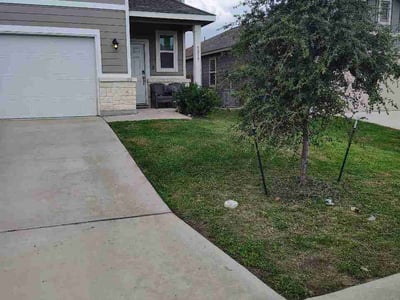Lawn Care service in Olmos Park, 78212