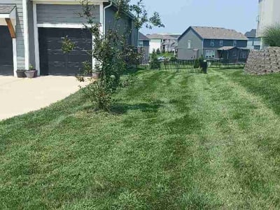 Lawn Care service in Paola, 66071