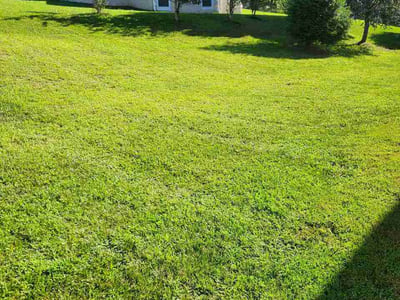 Lawn Care service in Laurel, 20707
