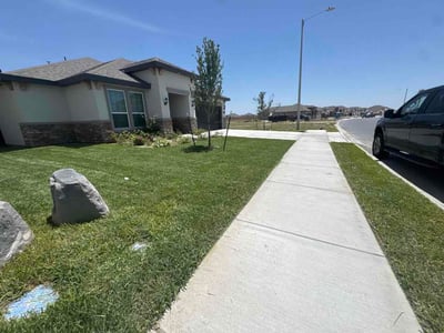 Lawn Care service in Donna, 78537