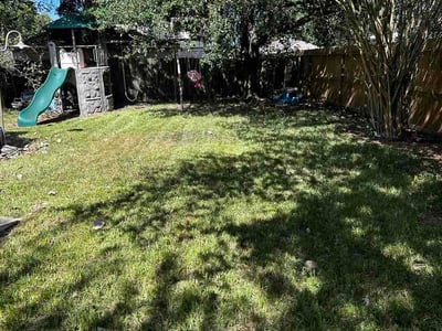Lawn Care service in Stafford, 77477
