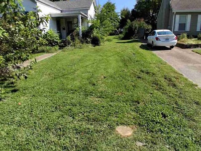 Lawn Care service in Jeffersontown, 40299