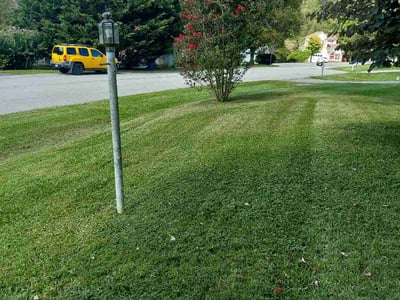 Lawn Care service in Christiansburg, 24073