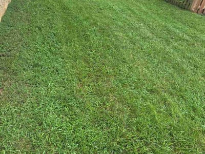 Lawn Care service in Lusby, 20657