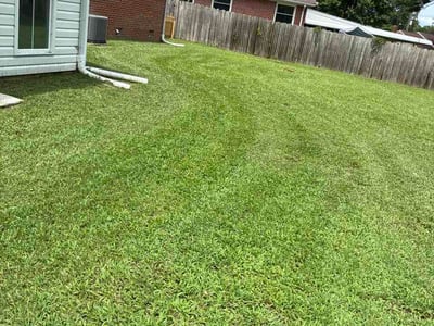 Lawn Care service in Christiansburg, 24073