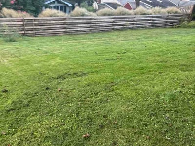 Lawn Care service in Denver, 17517