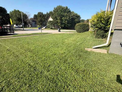 Lawn Care service in Gardner, 66030