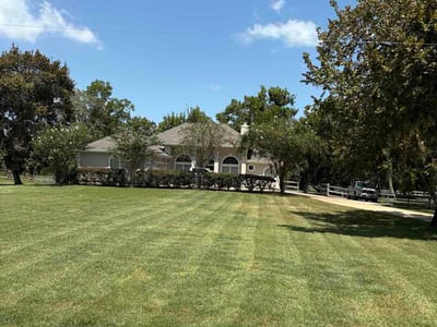 Lawn Care service in Rosharon, 77583
