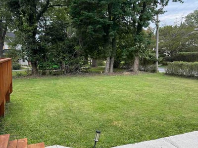 Lawn Care service in Pikesville, 21208