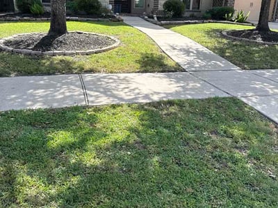 Lawn Care service in Mission, 78572